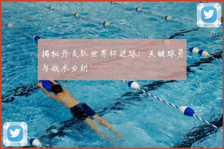揭秘丹麦队世界杯进球：关键球员与战术分析